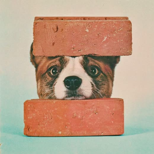 A small stack of red facing bricks